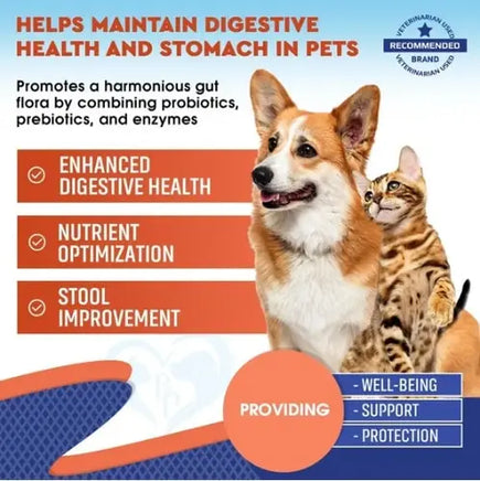 Probiotic supplement benefits for dogs and cats – promotes digestive health, nutrient absorption, and stool improvement.