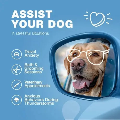 Calming chews help dogs during travel, thunderstorms, grooming, and vet visits – perfect for stress-related behaviors.