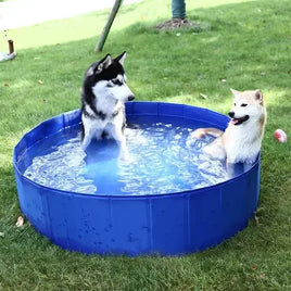 Happy dog splashing water in Pet Wading Pool. Buy for Dog