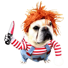 Dog in Halloween costume – funny and scary outfit for small and medium dogs.