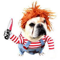 Dog in Halloween costume – funny and scary outfit for small and medium dogs.