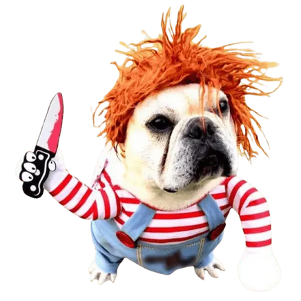 Dog in Halloween costume – funny and scary outfit for small and medium dogs.