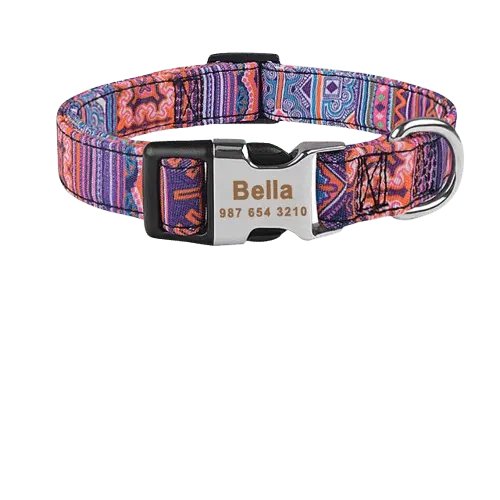 Custom Dog ID Collar with Engraved Name | Safe & Stylish