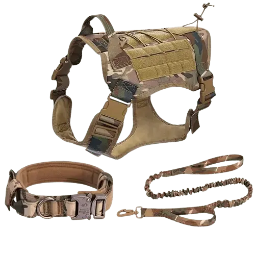 Dog wearing tactical vest on hiking adventure