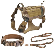 Dog wearing tactical vest on hiking adventure