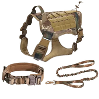 Dog wearing tactical vest on hiking adventure