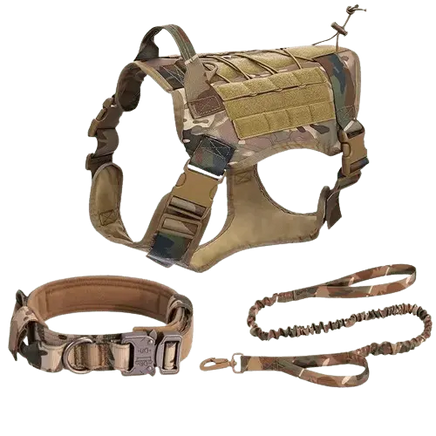 Dog wearing tactical vest on hiking adventure