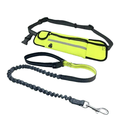 Green hands-free running dog leash with zero shock feature and safety handle for active walks