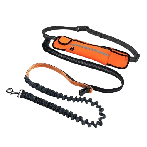 Hands-free dog leash in orange with shock-absorbing bungee and reflective waist belt