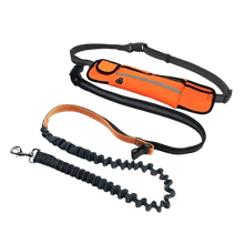 Hands-free dog leash in orange with shock-absorbing bungee and reflective waist belt