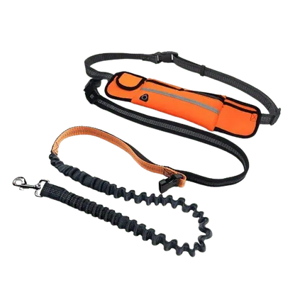 Hands-free dog leash in orange with shock-absorbing bungee and reflective waist belt