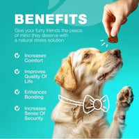 Dog Enjoying No Poo Chew – Improves Comfort, Bonding, and Sense of Security