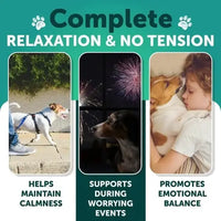 Dog calming treats that support relaxation during fireworks and loud events.