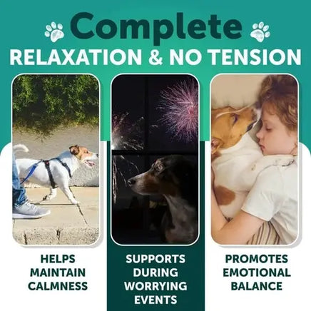 Dog calming treats that support relaxation during fireworks and loud events.