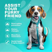 Support for Stool Eating Prevention and Gut Health – No Poo Chews for Dogs