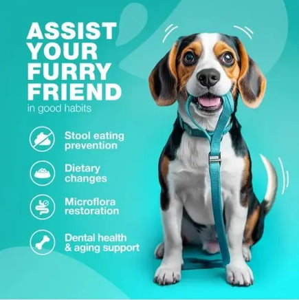 Support for Stool Eating Prevention and Gut Health – No Poo Chews for Dogs