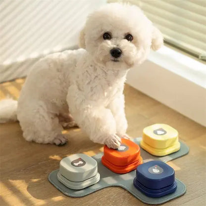 Small white dog using a talking button for communication training.