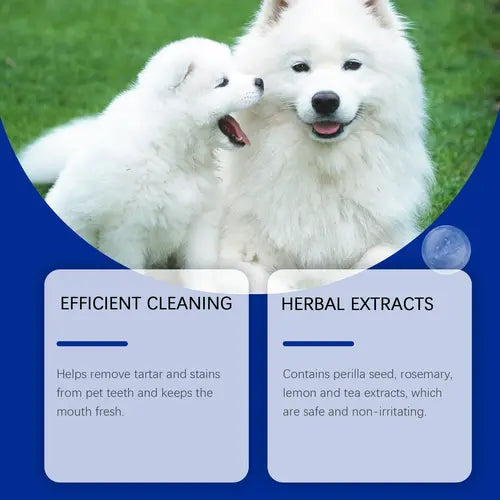 Dog tooth cleaner powder with herbal extracts for safe tartar removal and fresh breath.