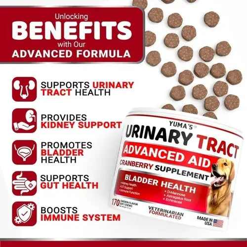 Benefits of urinary tract soft chews for dogs – supports kidneys, bladder, gut health and immune system.