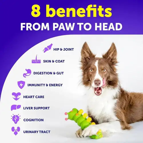 Dog vitamin supplement with 8 health benefits including joints, digestion, skin, immunity and more.