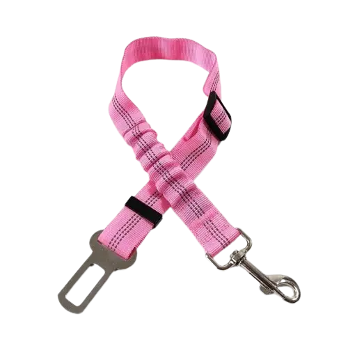 Dog securely wearing paw safe seat belt in a car. Buy for Dog