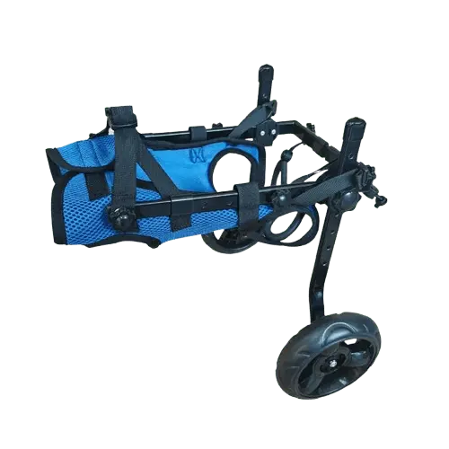 Dog wheelchair providing support for back legs.