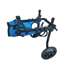 Dog wheelchair providing support for back legs.