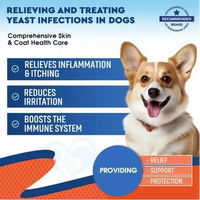Dog yeast infection treatment benefits – relieves itching, reduces irritation, boosts immune system.