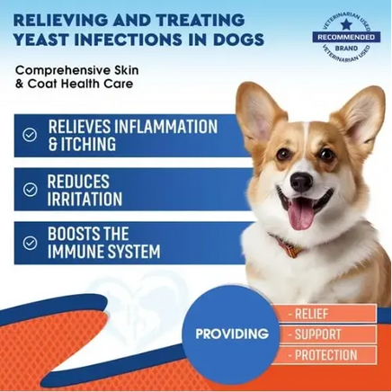 Dog yeast infection treatment benefits – relieves itching, reduces irritation, boosts immune system.