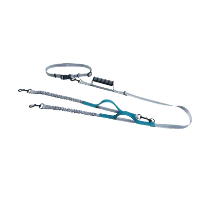 Adjustable hands-free dog leash for optimal comfort and control, perfect for active pet parents. Buy for Dog