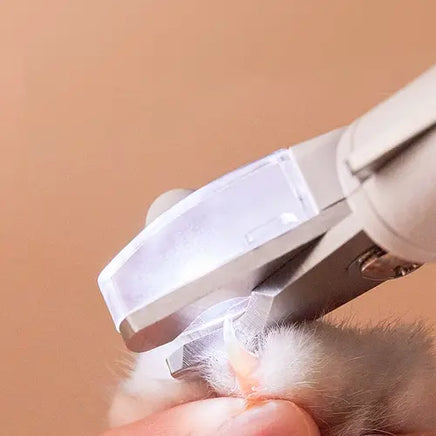 Easy-to-use pet nail clipper ideal for both dogs and cats, ensuring perfect grooming. Buy for Dog