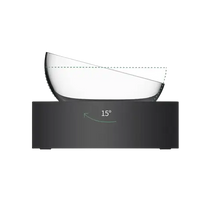 Close-up showing the 15-degree tilt of an elevated pet bowl, designed to promote comfortable and ergonomic feeding.