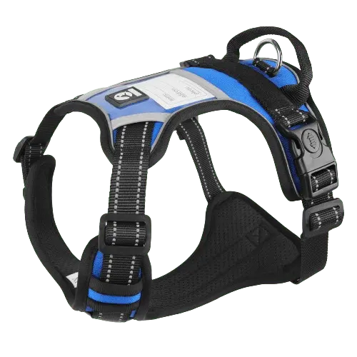 Blue dog harness with a breathable mesh back and a quick-release buckle.