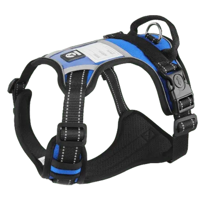 Blue dog harness with a breathable mesh back and a quick-release buckle.