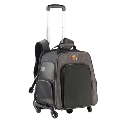 Ergonomic and stylish pet backpack designed for comfort and fashion. Buy for Dog