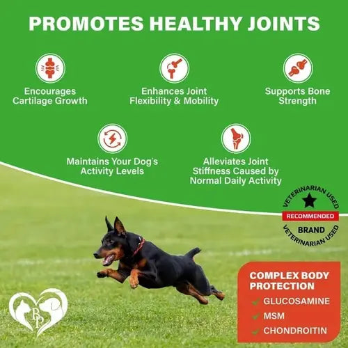 Glucosamine for dogs - hip and joint chews with benefits like improved mobility, cartilage support, and bone strength.