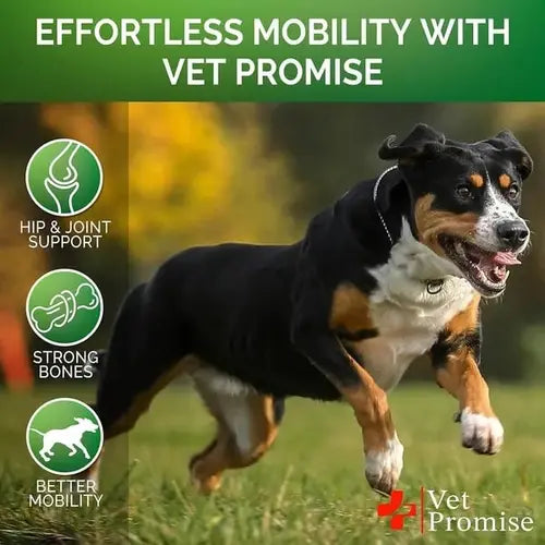 Glucosamine for dogs with hip and joint support - promotes strong bones and better mobility