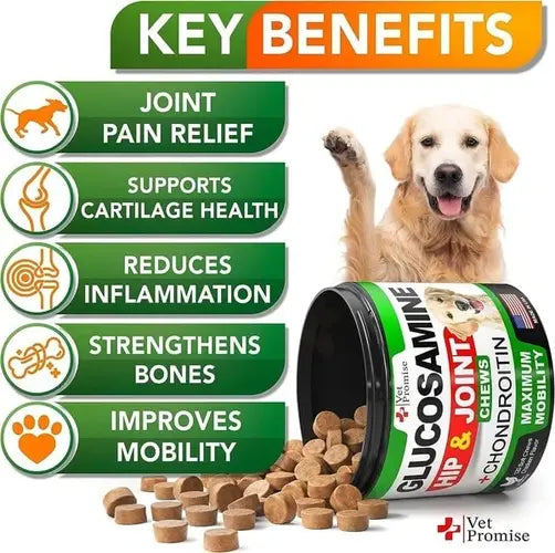 Key benefits of glucosamine for dogs - joint pain relief, mobility, cartilage support