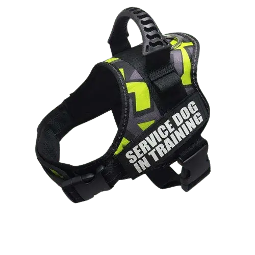 Green Doodle Harness ID Name For Dogs, featuring a playful doodle pattern in green for everyday fun. BUY FOR DOG