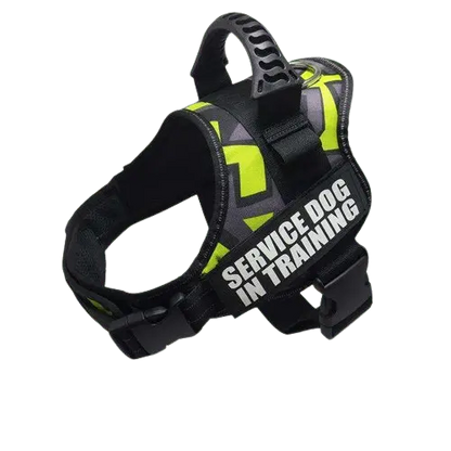 Green Doodle Harness ID Name For Dogs, featuring a playful doodle pattern in green for everyday fun. BUY FOR DOG