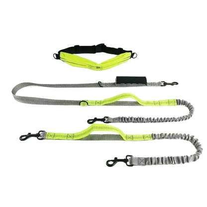 Durable reflective dog leash with high-quality materials for safe and secure walking experiences. Buy for Dog