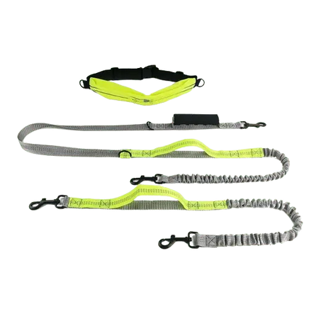 Durable reflective dog leash with high-quality materials for safe and secure walking experiences. Buy for Dog