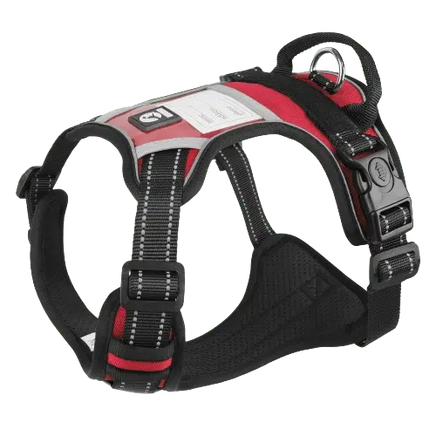 Luxury dog harness crafted for outdoor exploration, offering comfort and control for all breeds. Buy for Dog
