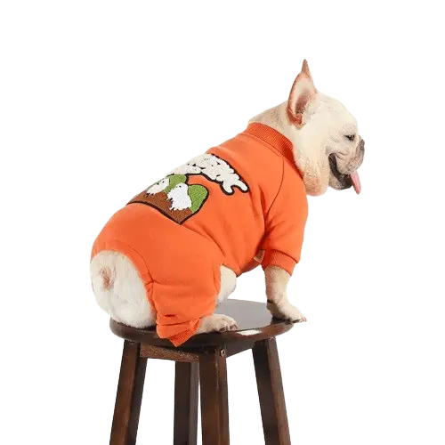 Four-legged design dog clothes offering maximum coverage and style for winter. Buy for Dog