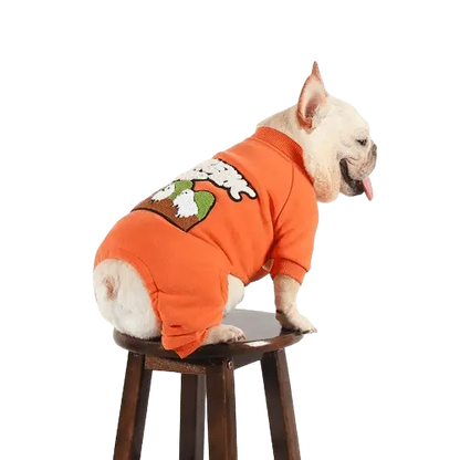 Four-legged design dog clothes offering maximum coverage and style for winter. Buy for Dog