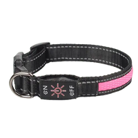 High Visibility LED Dog Collar for Safe Night Walks. Buy for Dog