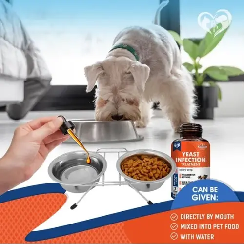 Liquid dog yeast infection supplement being added to water or food with Schnauzer eating in background.