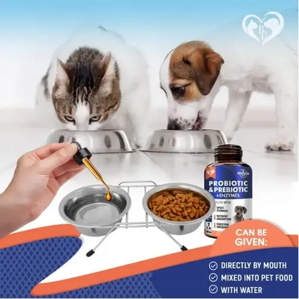 How to use probiotic supplement – add to water, food, or give directly to cats and dogs.