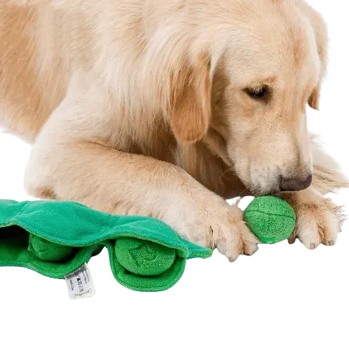 Interactive dog chew toy that dispenses treats, providing a fun and rewarding playtime experience for your pet. Buy for Dog