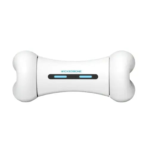 Dog playing with Interactive Smart Dog Bone in the park. BUY FOR DOG
